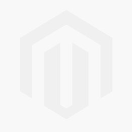 Mercedes CLS-Klasse W219 Federbein Links Vorne Neu | Airmatic A2193200313 A2193201113