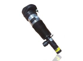 BMW X5 G05 Federbein vorne links 37106869029