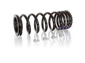 Coil spring conversion kit rear Disco 2