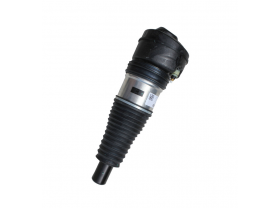 Audi A6 C8 4K Federbein vorne 4K0616039R